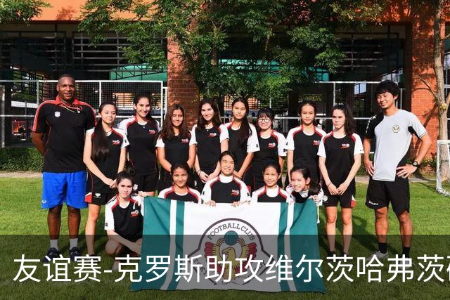友谊赛-克罗斯助攻维尔茨哈弗茨破门 德国2-0法国